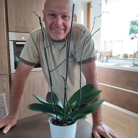 Le Viole בית כפרי *