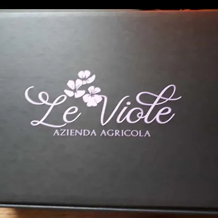 Casa de Campo Le Viole *